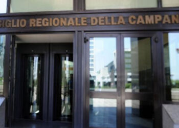 Più Europa presenta mozione «Caro sindaco, ferma il dissesto»