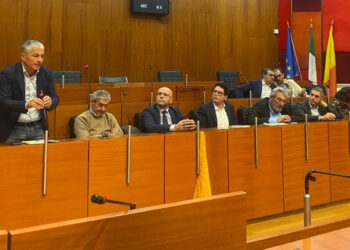 Napoli, eletti i nuovi vertici di Più Europa