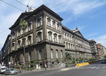 FdI Napoli: «Libertà di espressione è fondamentale»