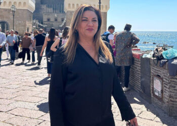 Ue, Ricci (Fi): «Case green provvedimento ideologico da cambiare»