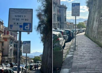 FdI, Manzo esulta: «Cartello imbarazzante rimosso, battaglia vinta»