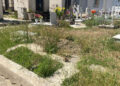 Napoli, FdI: cimitero di Chiaiano, regna il degrado