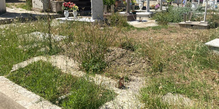 Napoli, FdI: cimitero di Chiaiano, regna il degrado