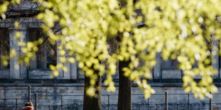 Domani torna la pioggia ma il weekend sarà soleggiato