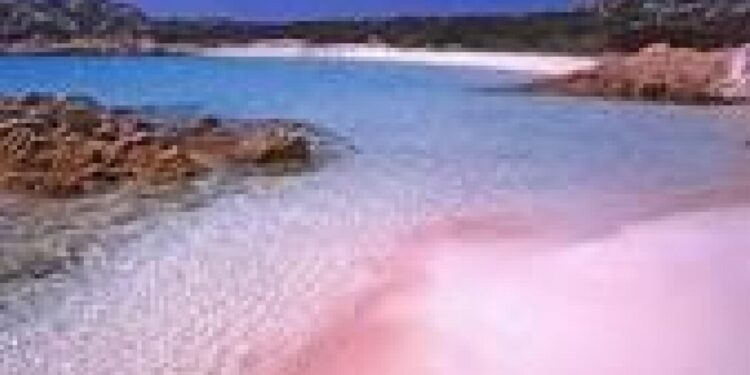 Addio alla casa del guardiano davanti alla spiaggia rosa di Budelli