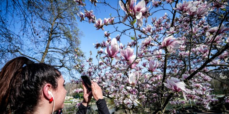 Weekend con clima primaverile, lieve maltempo solo al Nordovest