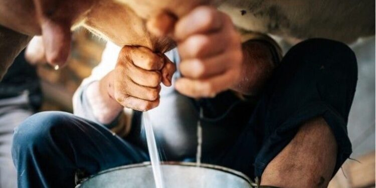 Centrale del Latte d’Italia, utile netto 2025 4,6 milioni di euro (+5,2%)