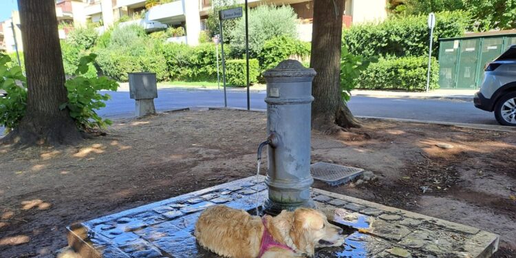 Investimenti nel settore idrico salgono, dopo il Pnrr servono contributi pubblici