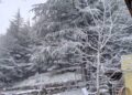 L’inverno a primavera sul Gennargentu, -2 gradi e neve