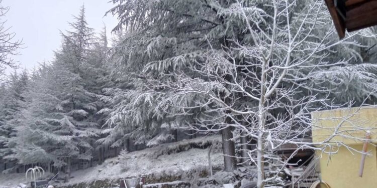 L’inverno a primavera sul Gennargentu, -2 gradi e neve