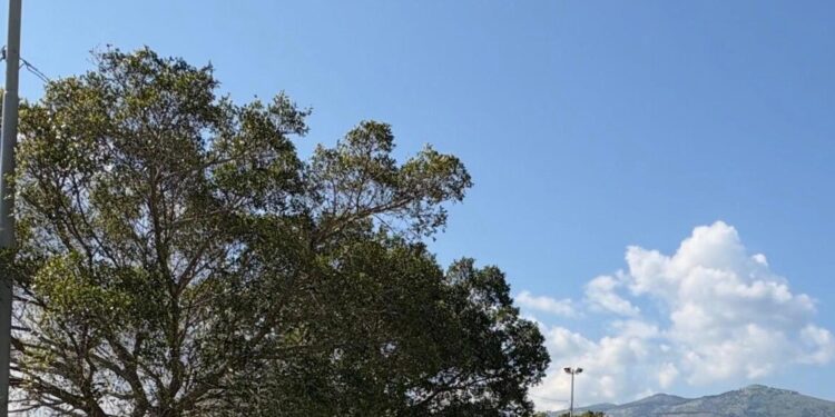 Lavoratori Italo Belga in corteo a Mondello, ‘rispetto, dignità e certezze’