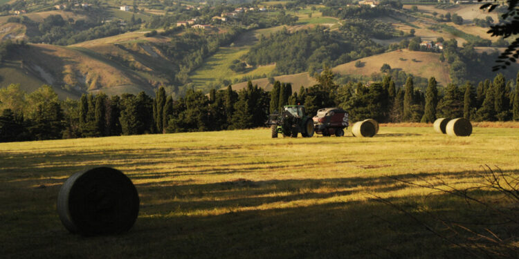 Riparte Generazione terra di Ismea, 120 milioni per giovani agricoltori