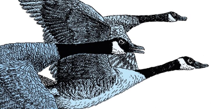 ‘Se tutte insieme’, poesie di madri, figlie, sorelle