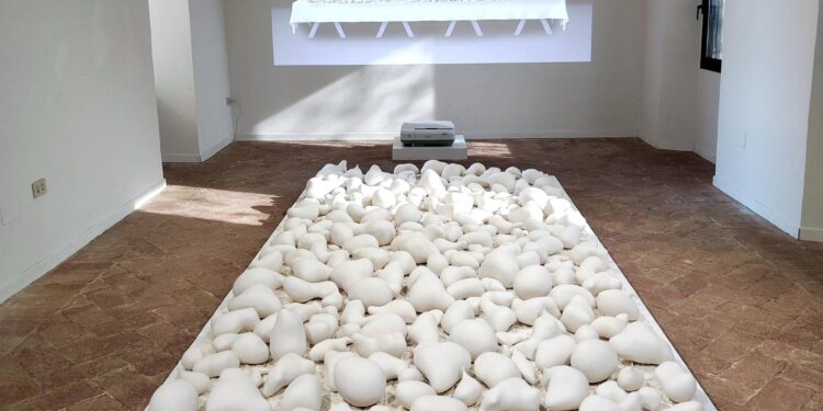 L’abbondanza e la scarsità di cibo, l’opera di Itamar Gilboa in mostra al Mic Faenza