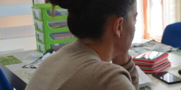 Bozza Ue, contro la crisi telelavoro obbligatorio e sconti su mezzi pubblici