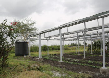 Da Mediocredito Centrale oltre 2milioni a Cogefeed per l’agrivoltaico