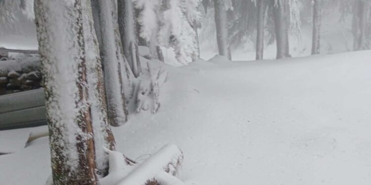 Neve in Sardegna per la vigilia di Pasqua, 10 cm e temperature sottozero