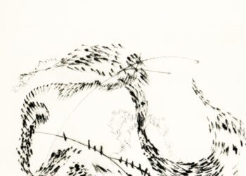 Incanti, il canto degli uccelli prende forma