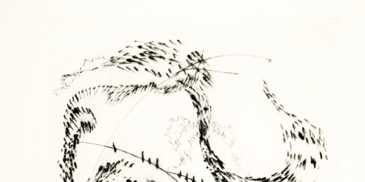 Incanti, il canto degli uccelli prende forma