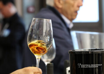 Mazzi, enoturismo in Italia vale tre miliardi di euro e può crescere