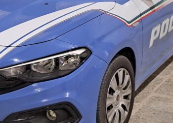 Tenta di strangolare la compagna con un guinzaglio, arrestata una ragazza