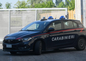 Maxi furto in azienda del Cremonese, bottino di decine di migliaia di euro