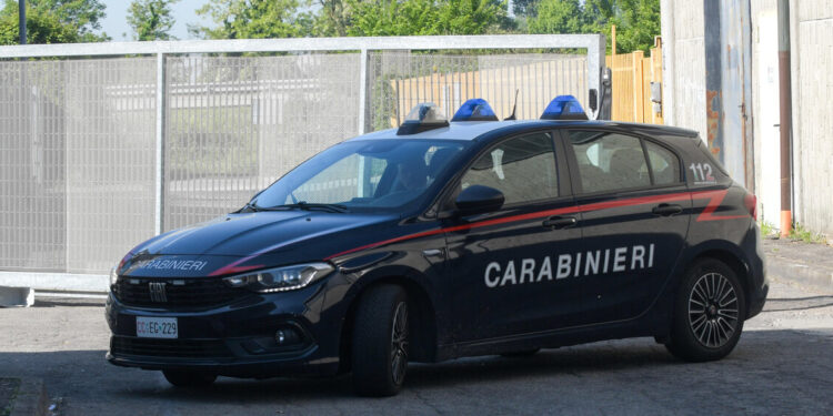 Maxi furto in azienda del Cremonese, bottino di decine di migliaia di euro