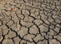 Innovazione sociale e clima i temi eco più trattati dai media italiani