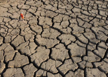 Innovazione sociale e clima i temi eco più trattati dai media italiani