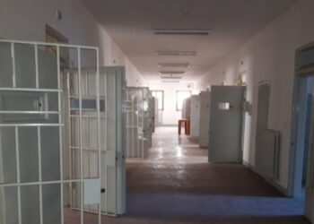 Sos caldo e zanzare in carcere a Bologna, ‘puzza e muffa nelle celle’