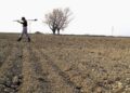 Crisi climatica ed economica per l’Italia: come cambierà il Paese entro il 2050