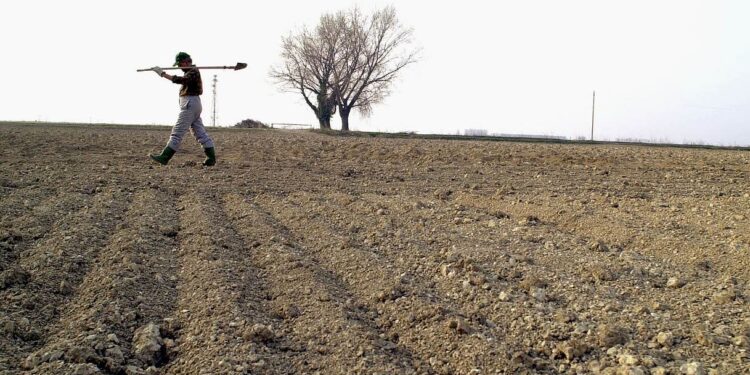 Crisi climatica ed economica per l’Italia: come cambierà il Paese entro il 2050