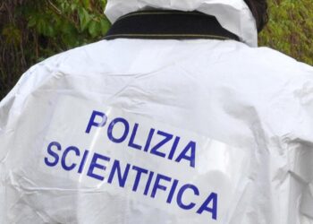 Anziana trovata morta a Verona, il figlio portato in Questura