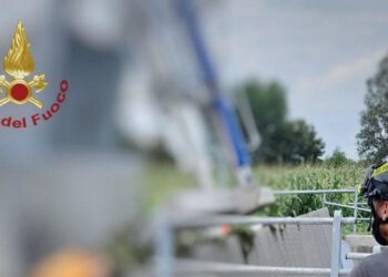Cadavere recuperato in un canale in provincia di Rovigo