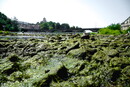 Temperature sopra i 40°C, il caldo soffoca l’Italia
