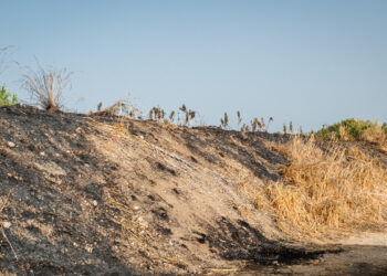 Giornalista ucciso nel Salernitano, domani l’autopsia