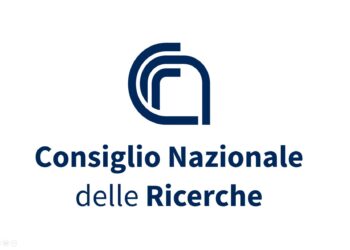 Il Cnr rivela che oltre il 43% degli studenti è stato interessato da episodi di violenza giovanile