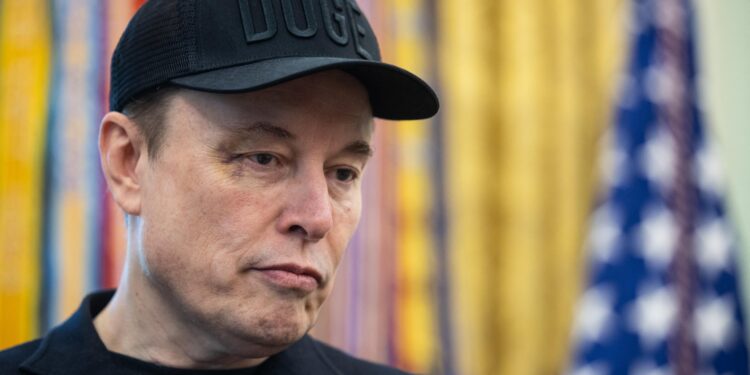 Musk e Le Pen: Ruotolo chiede garanzie contro l’interferenza nelle elezioni Ue