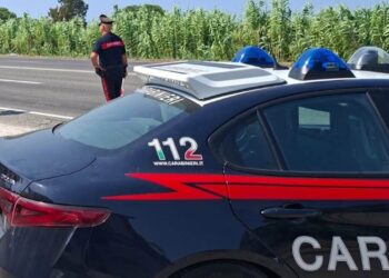 Ucciso in casa nel Napoletano, arrestato un 25enne