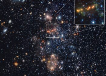 Il James Webb svela le fabbriche di polvere cosmica nell’Universo primordiale