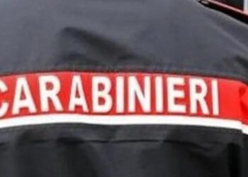 Cadavere trovato in strada allo Zen a Palermo, la vittima colpita al volto
