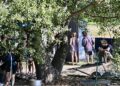 No Tav, è in corso lo smontaggio del ‘non campeggio’ a Venaus
