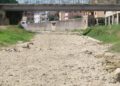 Rubano l’acqua per i campi, 200 agricoltori multati nel Trevigiano