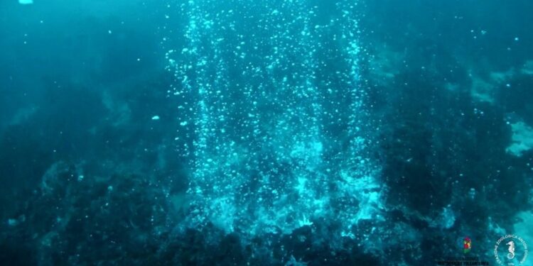 Nuovi camini idrotermali e un grande cratere sottomarino al largo di Panarea