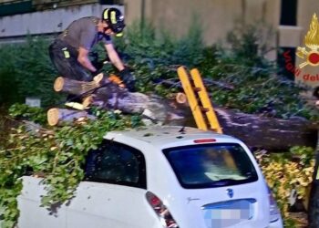 Maltempo in Veneto, oltre 350 richieste di intervento ai Vigili del fuoco