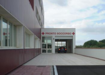 Muore per la febbre del Nilo dopo il contagio nell’Oristanese