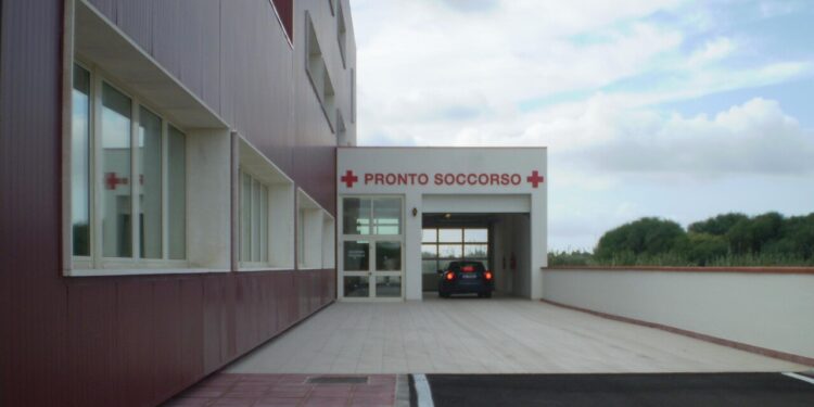Muore per la febbre del Nilo dopo il contagio nell’Oristanese