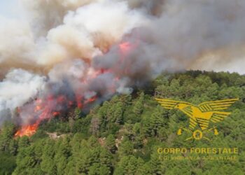 Incendio Ogliastra, tre Canadair in volo per operazioni bonifica