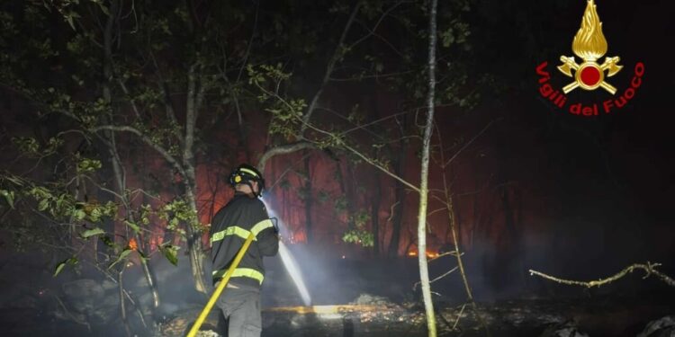 Dopo due giorni spento incendio sul Carso triestino