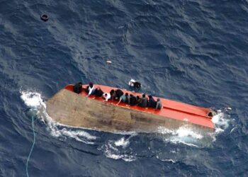 Le ong all’attacco, ‘nauseante parlare di compensazioni’